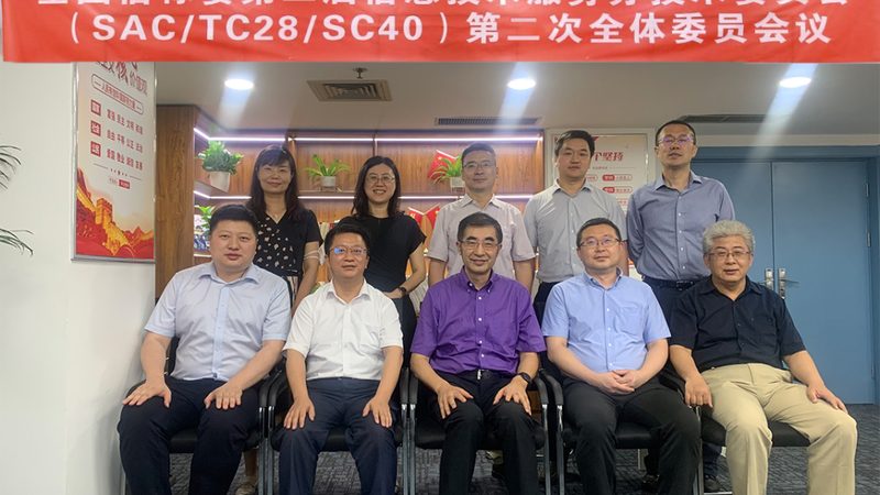 IT外包价格表背后的考量因素**