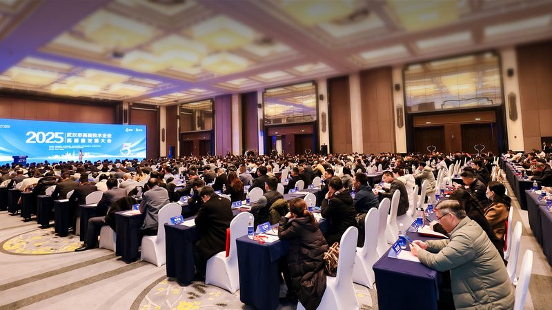 信息系统监理服务范围：保障项目稳定交付的关键环节