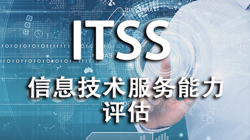 定制化IT咨询：企业数字化转型的隐形推手